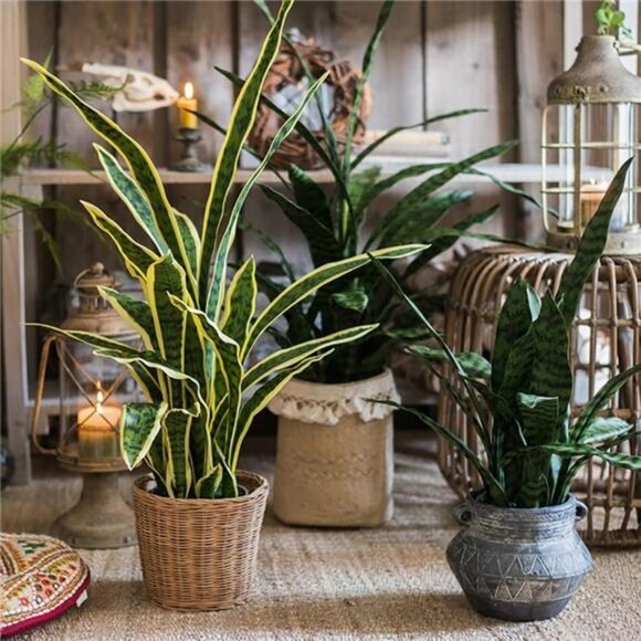 Artificial snake plant 22 inch tall potted fake sansevieria agave home office de - Picture 5 of 7